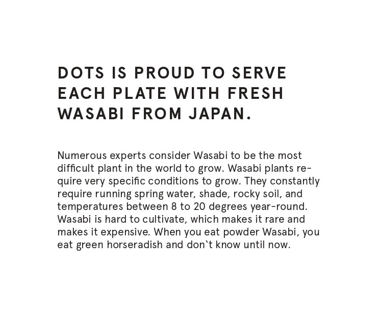 Dots 1060 – Food Menu